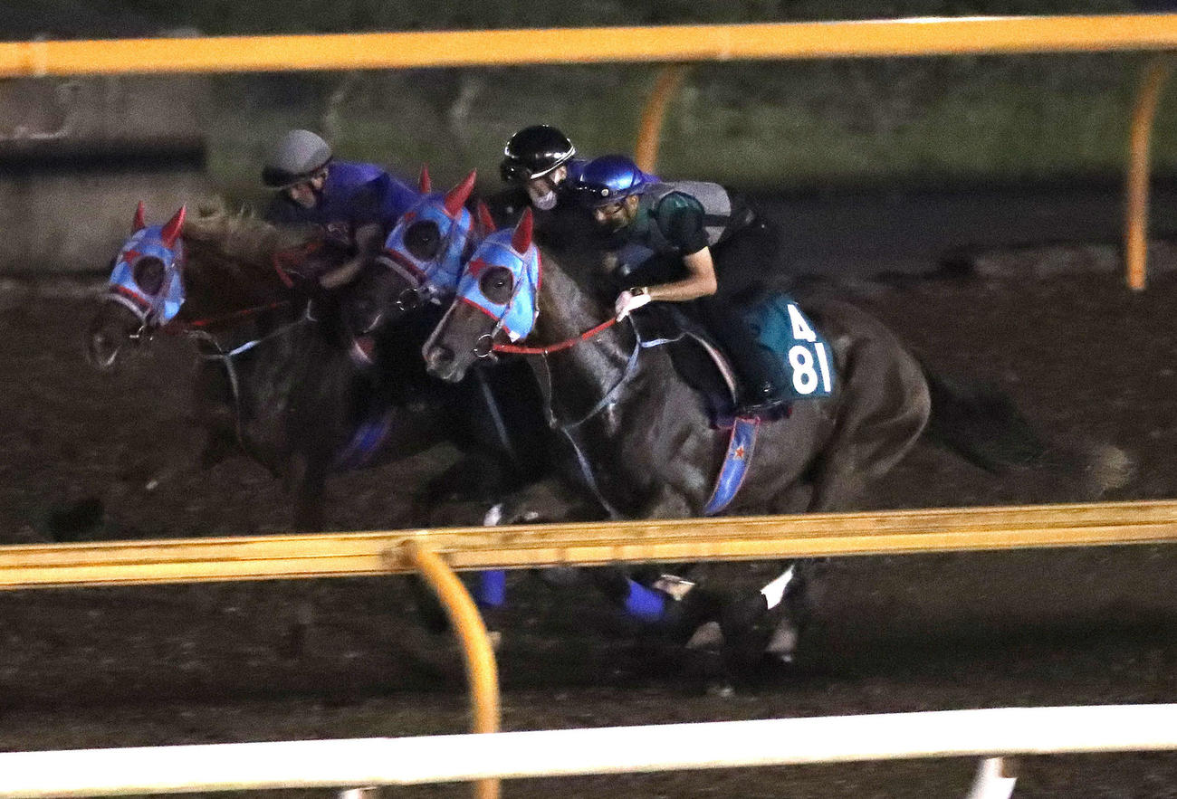 幸騎手を背にCウッドを3頭併せで追い切るビッグドリーム（右）（撮影・白石智彦）