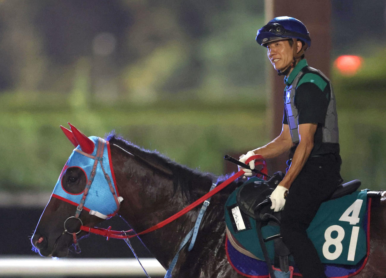 幸騎手を背にスタンド前で運動するビッグドリーム（撮影・白石智彦）