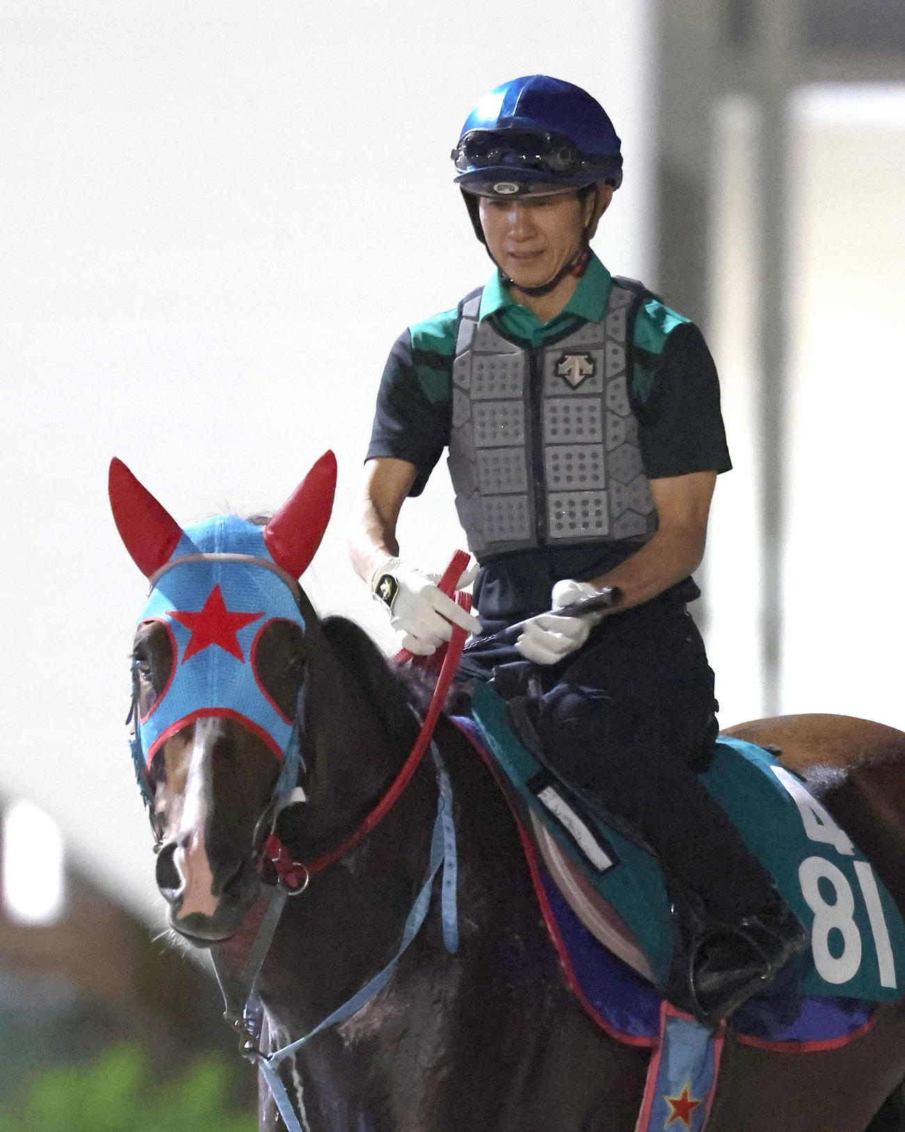 幸騎手を背にスタンド前で運動するビッグドリーム（撮影・白石智彦）