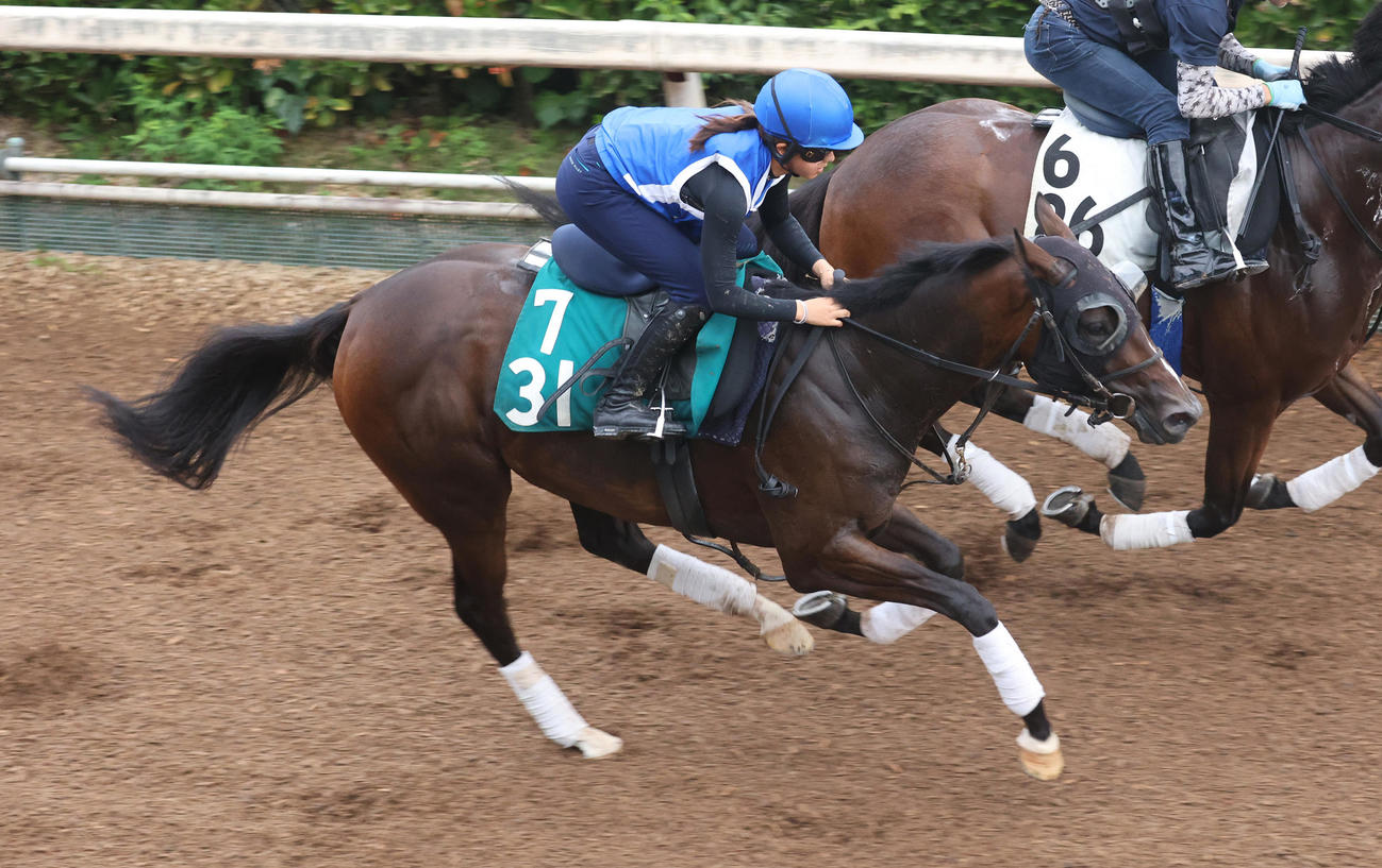 今村騎手を背に坂路を併せ馬で追い切るセイウンデセオ