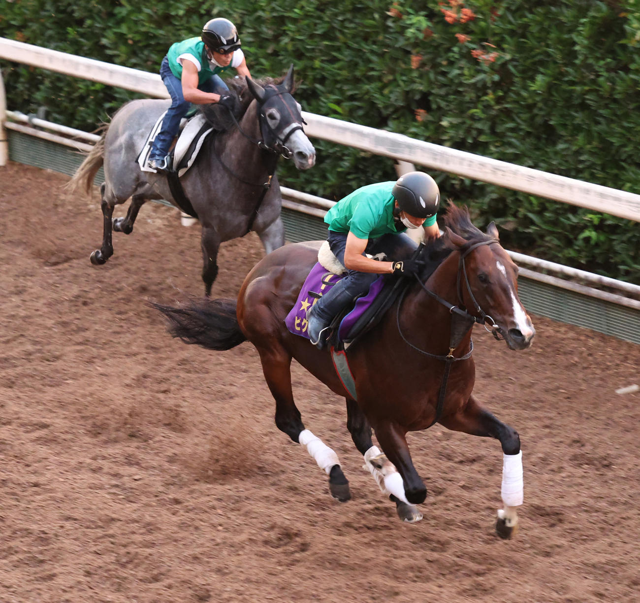 坂路を併せ馬で追い切るピクシーナイト（手前）