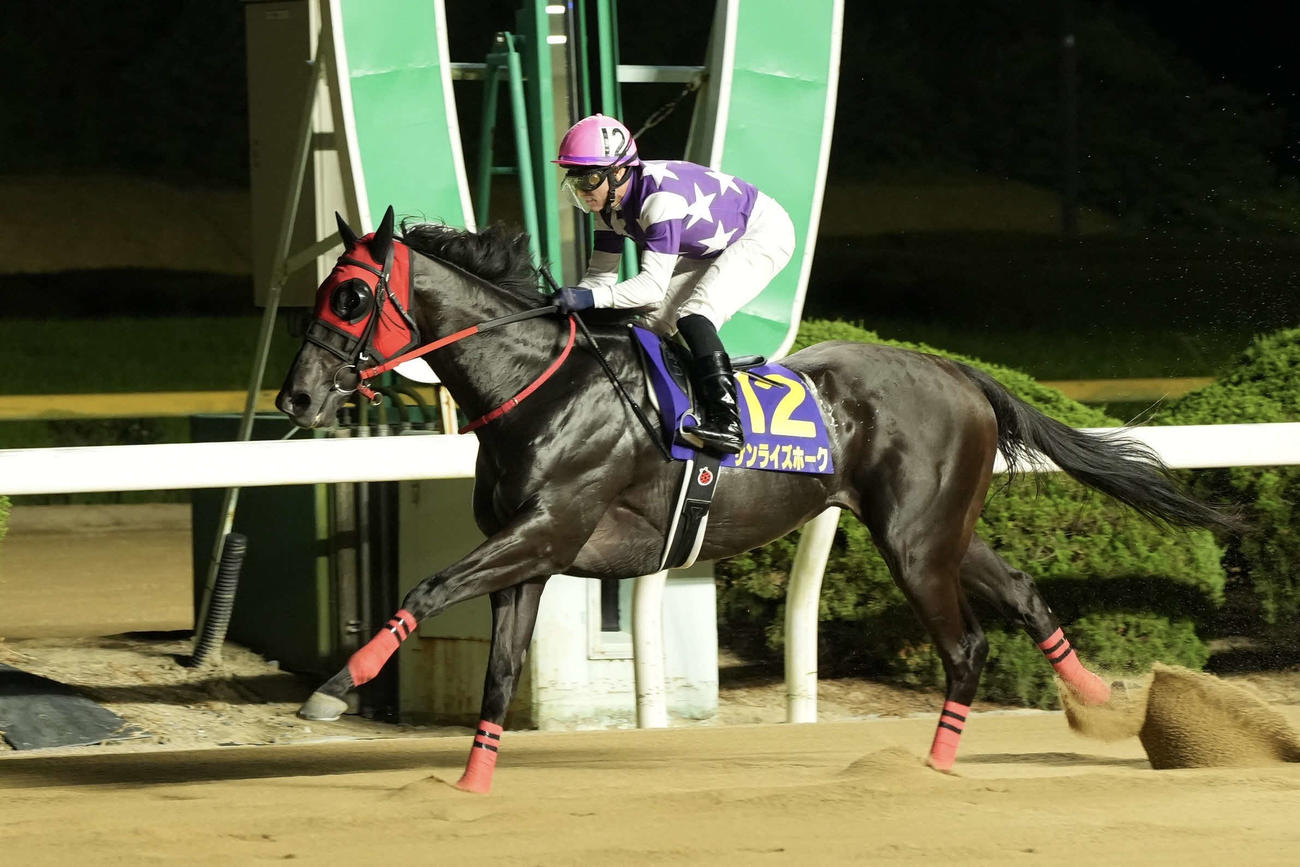逃げ切りでサマーチャンピオン優勝を飾ったサンライズホーク