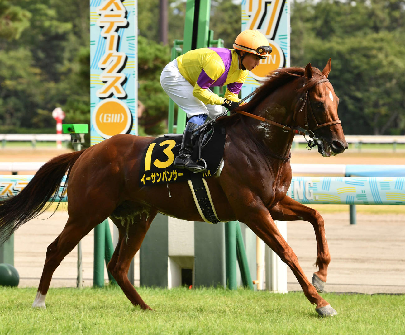 イーサンパンサー（撮影・柴田隆二）