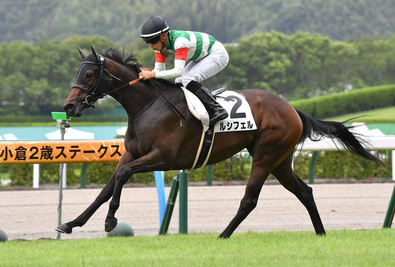 小倉1R・2歳未勝利、4馬身差をつけて勝利したルシフェルと団野大成騎手（撮影・岩下翔太）