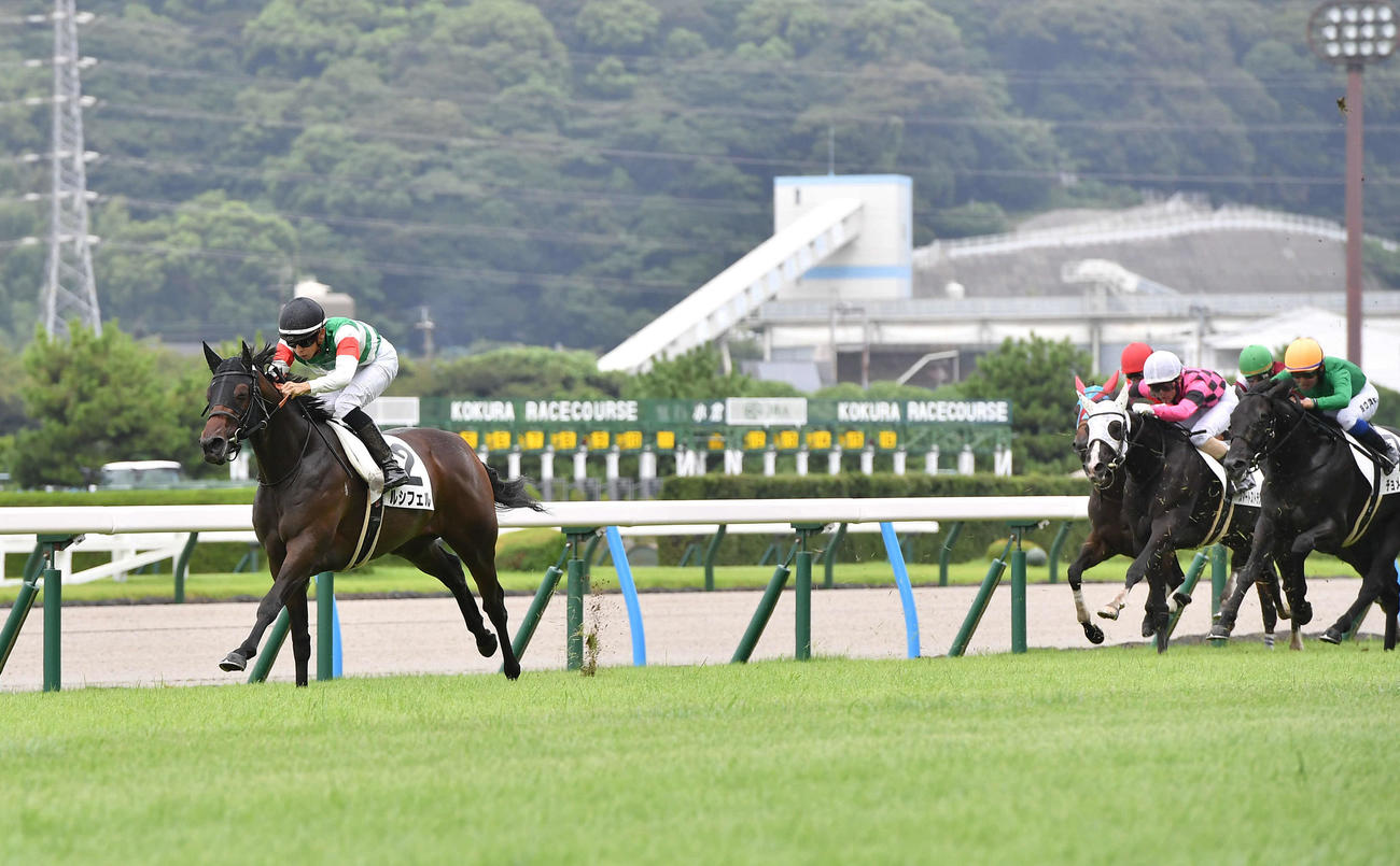 小倉1R・2歳未勝利、4馬身差をつけて勝利したルシフェルと団野大成騎手（撮影・岩下翔太）
