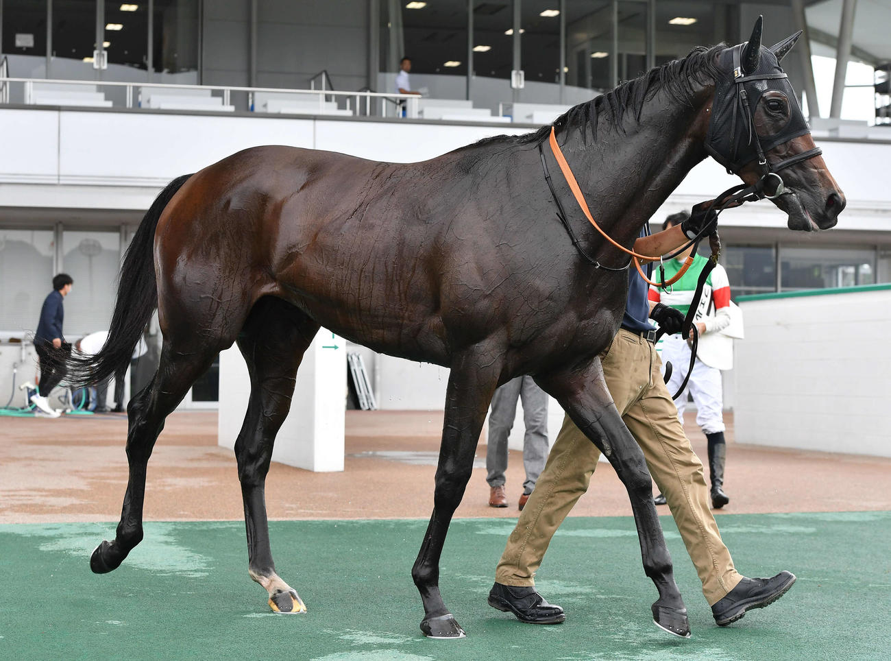 小倉1R・2歳未勝利で1着のルシフェル（撮影・岩下翔太）