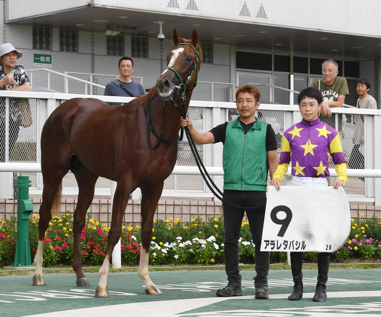 新潟2R・1着アラレタバシルと野中悠太郎騎手（撮影・柴田隆二）