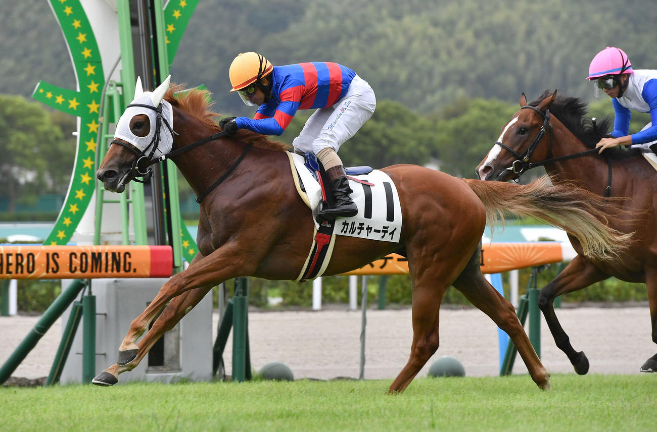 小倉5R・メイクデビュー小倉　1着のカルチャーデイと酒井学騎手（撮影・岩下翔太）