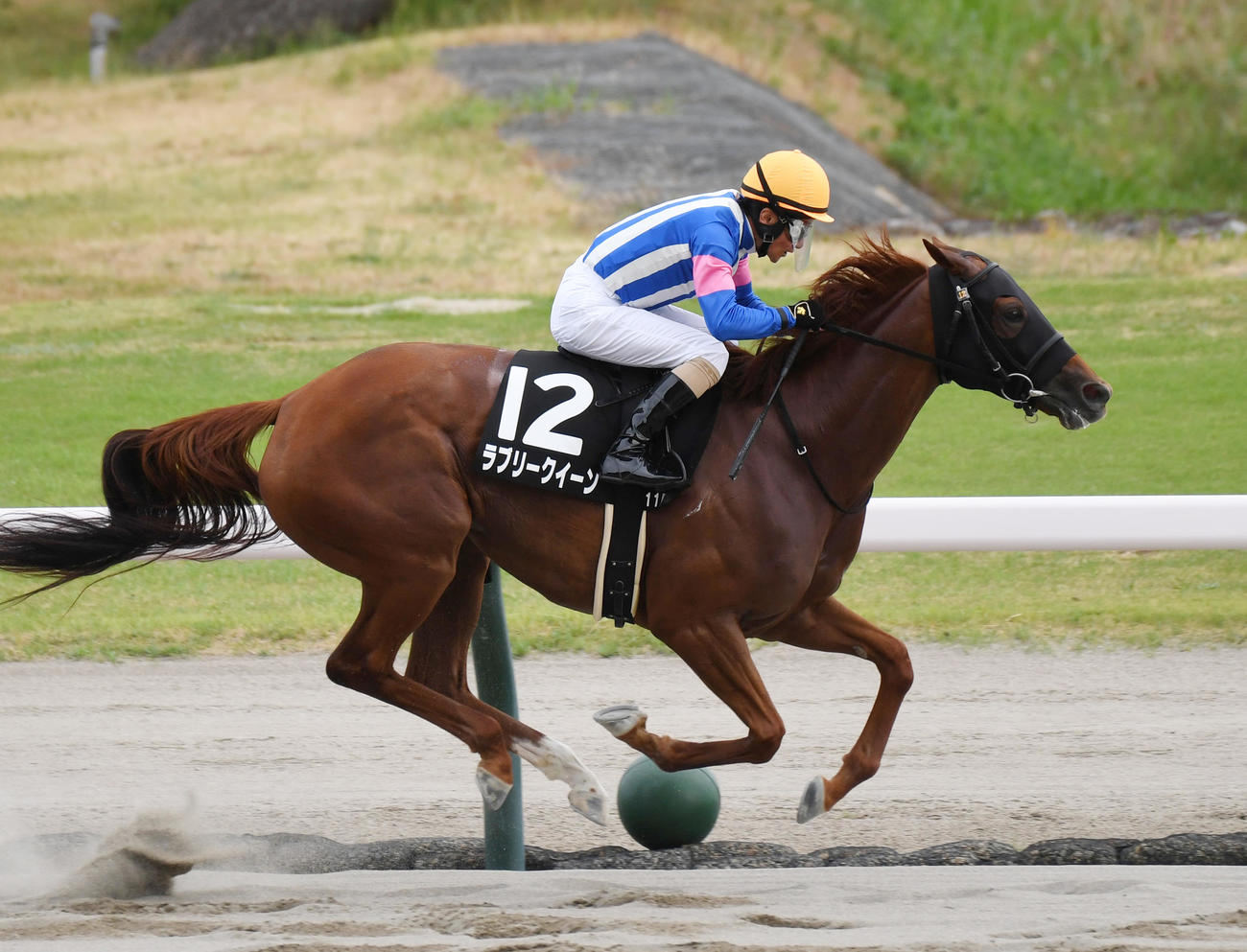 古町Sを制したラブリークイーンと柴田善騎手（撮影・柴田隆二）