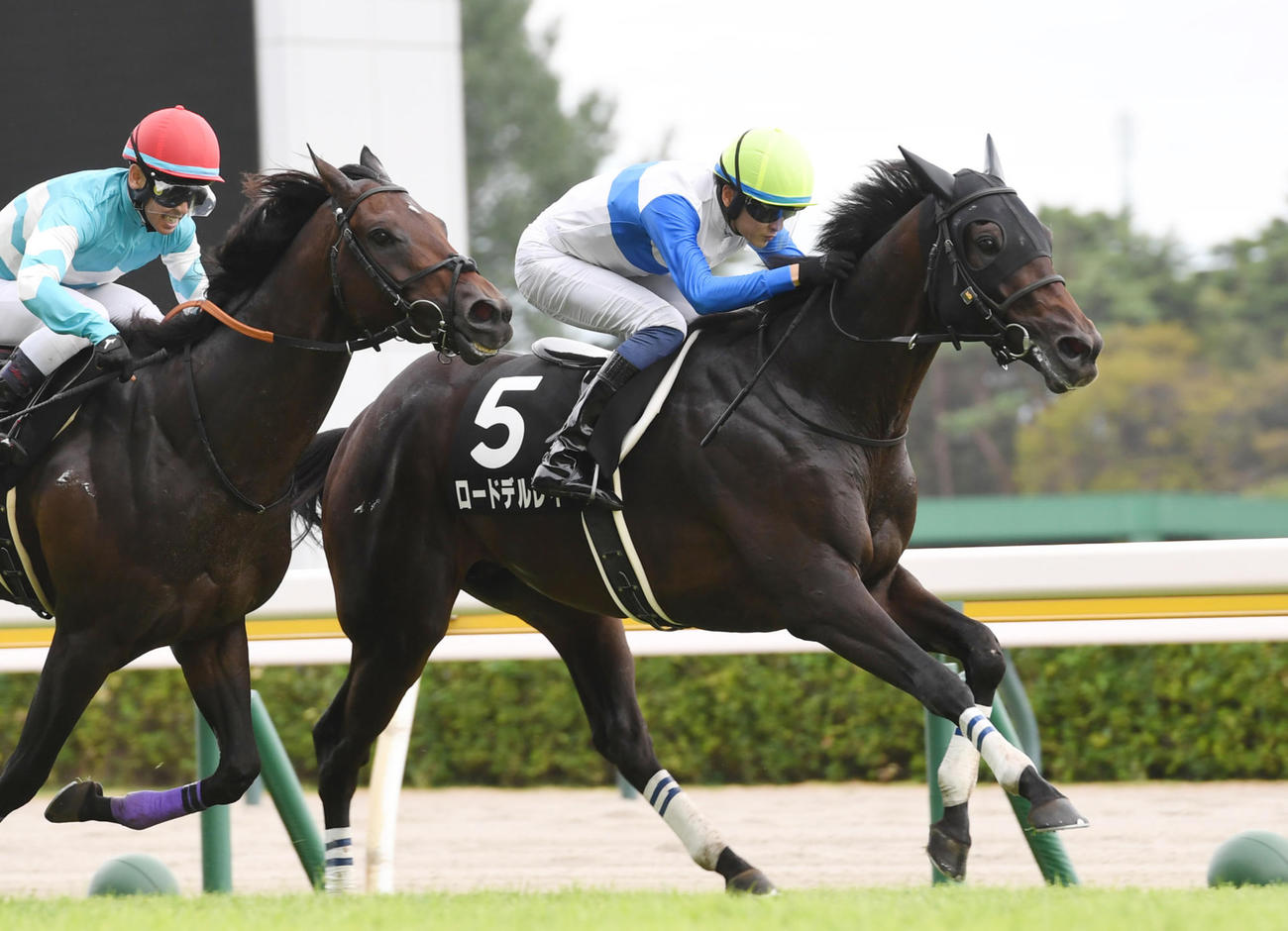 赤倉特別を制したロードデルレイ（右）
（撮影・柴田隆二）