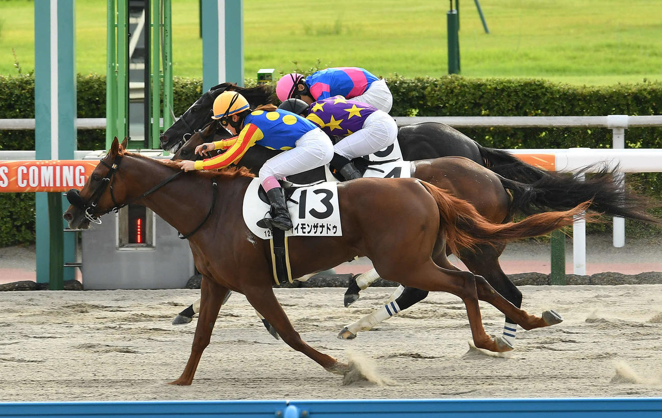 小倉12Rを制したサイモンザナドゥと永島まなみ騎手（撮影・岩下翔太）
