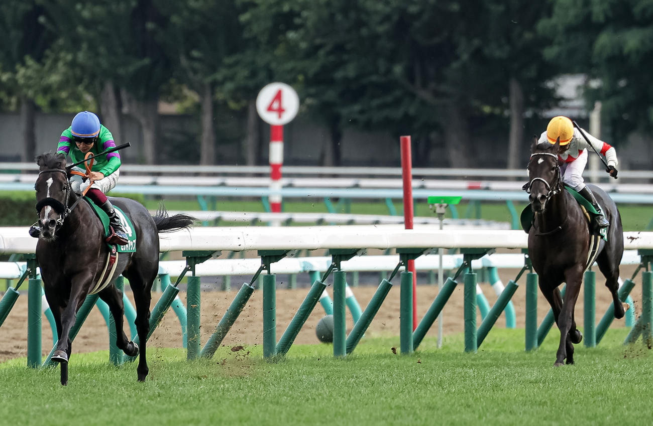 札幌2歳S、直線抜け出したセットアップと横山武史騎手（左）を追う2着パワーホールと横山典弘騎手