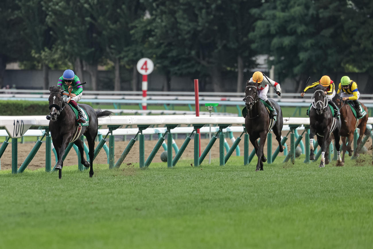 札幌2歳Sを逃げ切ったセットアップと横山武騎手（左）（撮影・村野早祐）