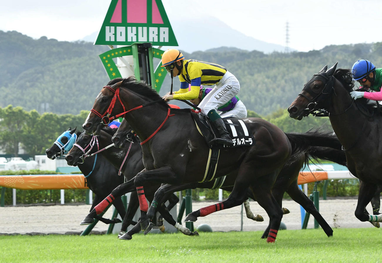 テレQ杯1着のバンデルオーラと国分恭介騎手（撮影・岩下翔太）