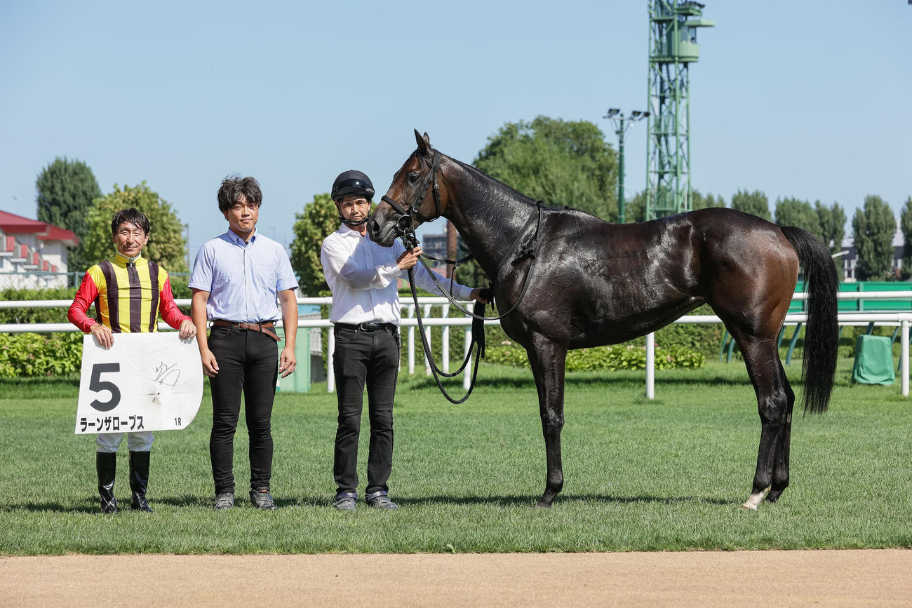札幌1R、2歳未勝利を勝ち上がったラーンザロープス（撮影・村野早祐）