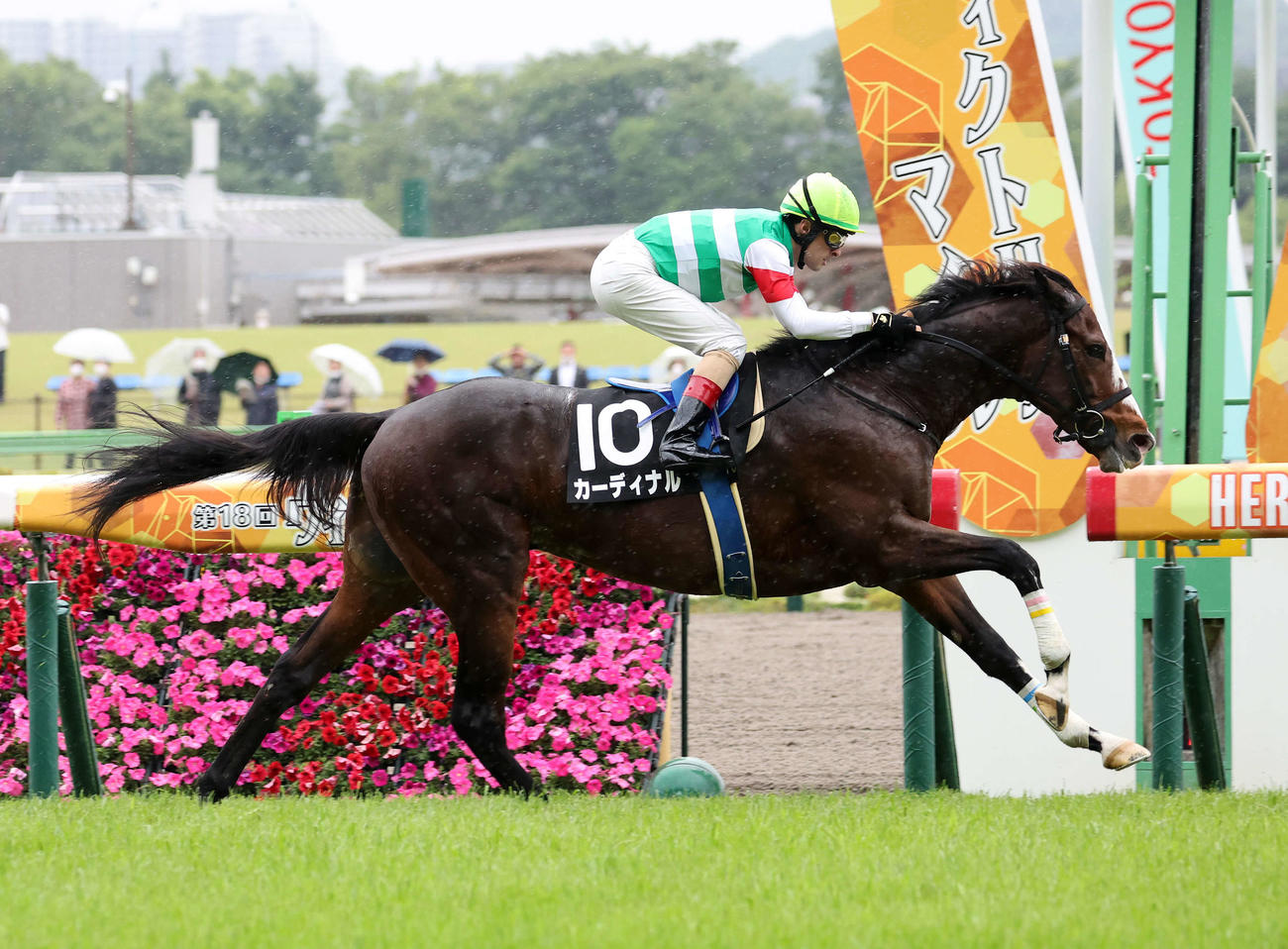 緑風Sを制したカーディナルとC・ルメール騎手（2023年5月13日撮影）