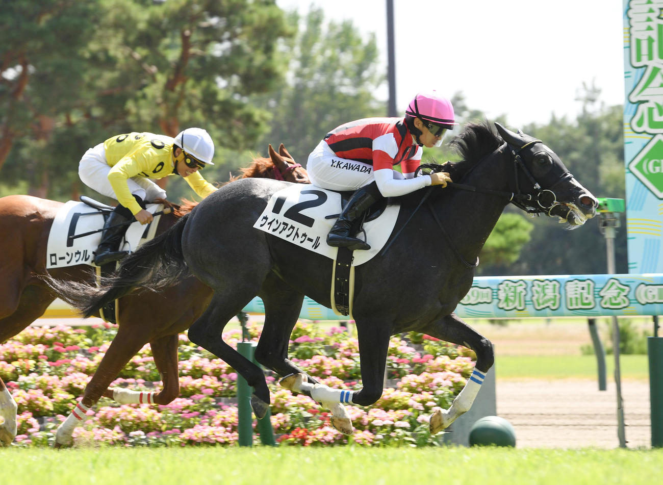 新潟2Rを制したウインアクトゥール（右）（撮影・柴田隆二）