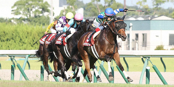 レコードタイムでセントウルSを制したメイケイエール（撮影・白石智彦）＝2022年9月11日、中京競馬場
