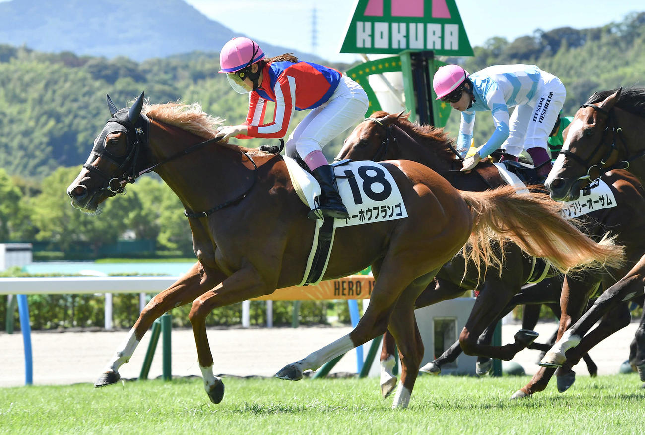 小倉7R・1着のトーホウフランゴと永島まなみ騎手（撮影・岩下翔太）