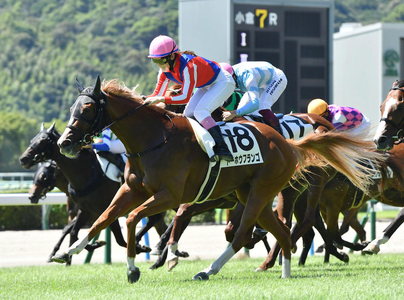 小倉7R・1着のトーホウフランゴと永島まなみ騎手（撮影・岩下翔太）