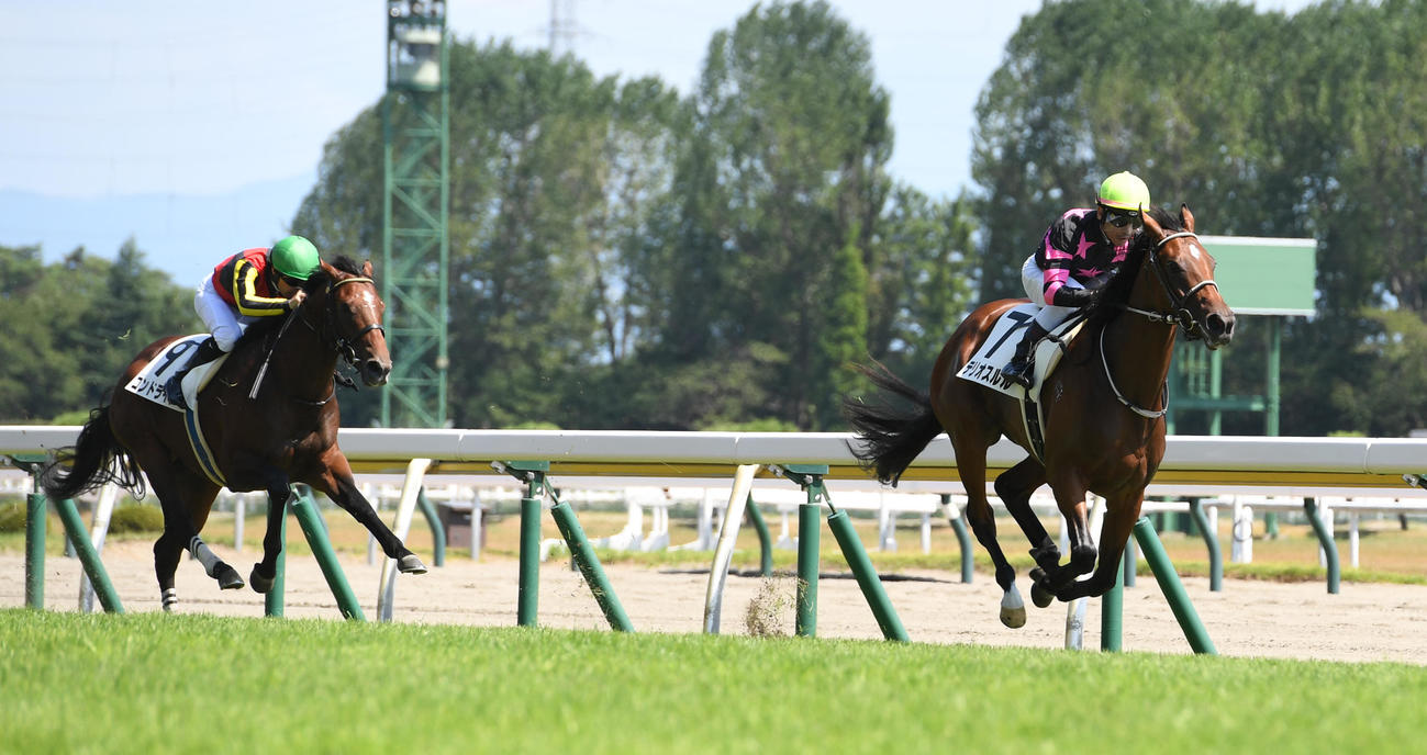 新潟5R、新馬戦を制したテリオスルル（右）、2着コンドライト（撮影・柴田隆二）