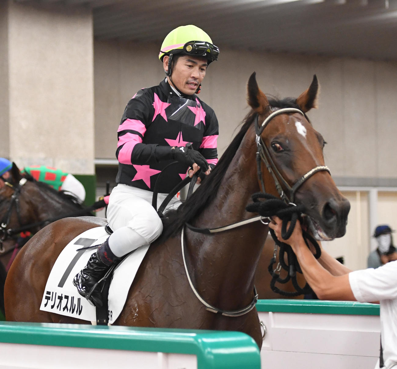 新潟5R、新馬戦を制したテリオスルルと戸崎騎手（撮影・柴田隆二）