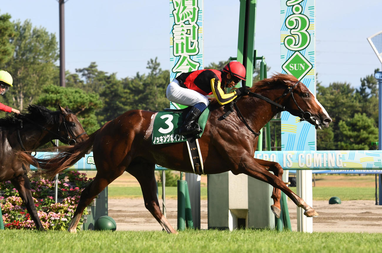 新潟記念を制したノッキングポイントと北村宏騎手騎手（撮影・柴田隆二）