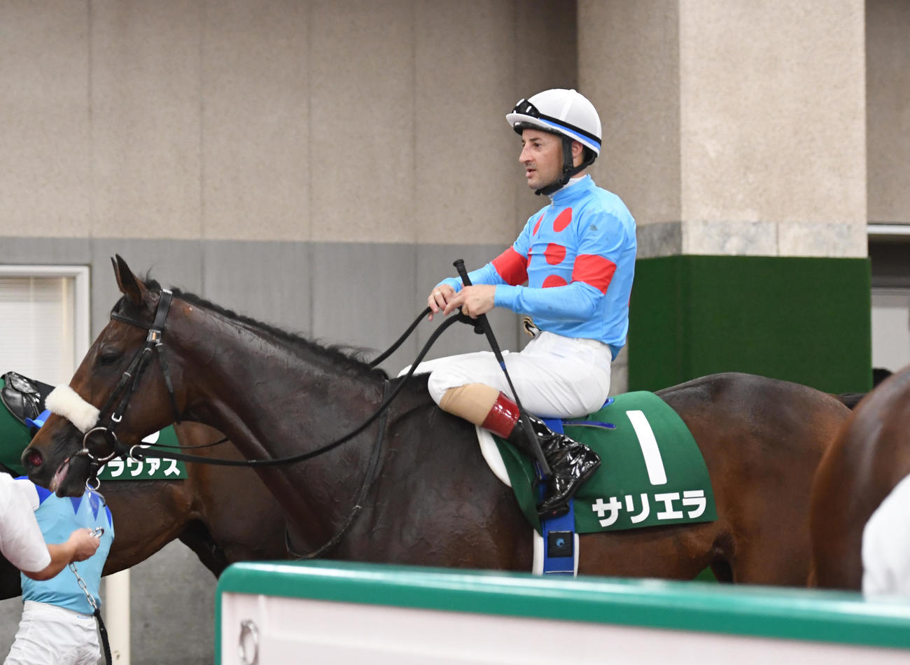 新潟記念で7着のサリエラとルメール騎手（撮影・柴田隆二）