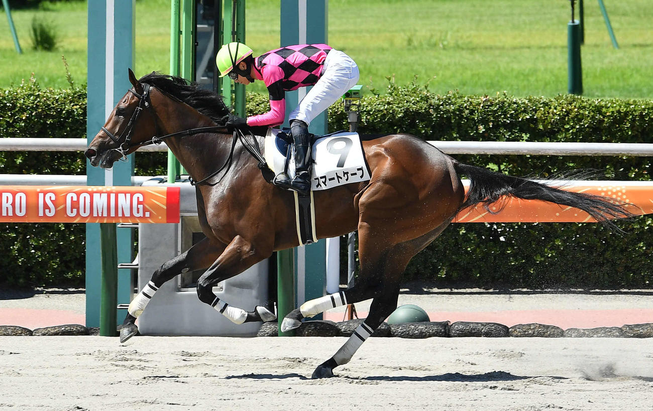 3日の3R、スマートケープで勝利。今夏小倉10勝目を挙げた坂井騎手（撮影・岩下翔太）