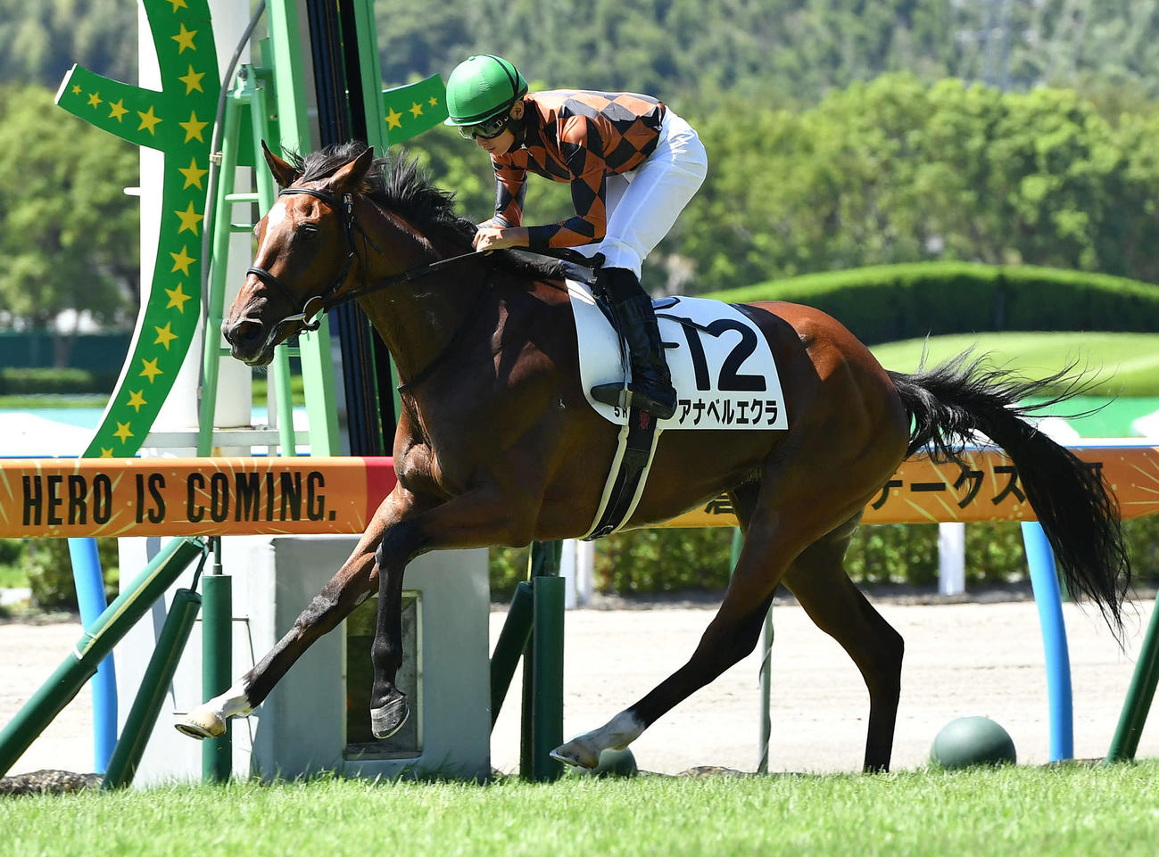 デビュー戦を勝ったアナベルエクラと岩田望来騎手（撮影・岩下翔太）