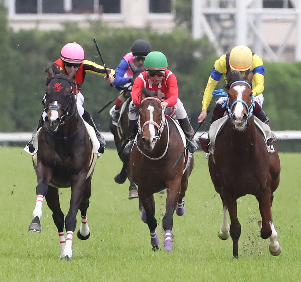 デビュー戦を制したバスターコールとレーン騎手（左）。右は2着ピックアチェリー（2023年6月撮影）