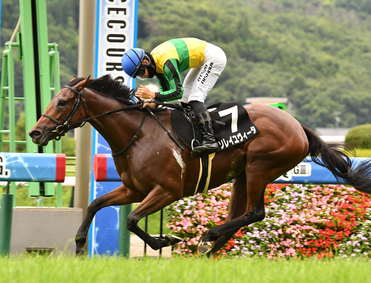 松島特別を制したソレイユヴィータ（23年7月1日撮影）