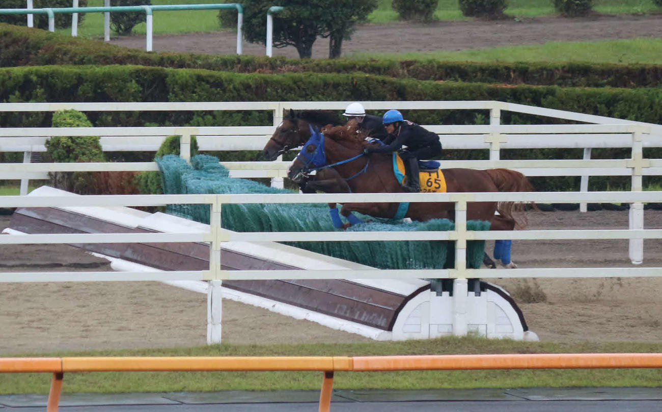 6日、障害試験で障害物を飛越するトゥルボー（手前）と石神騎手