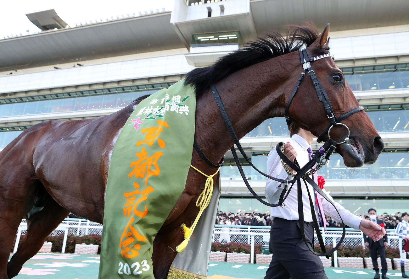 京都記念を制したドウデュース（2023年2月12日撮影）