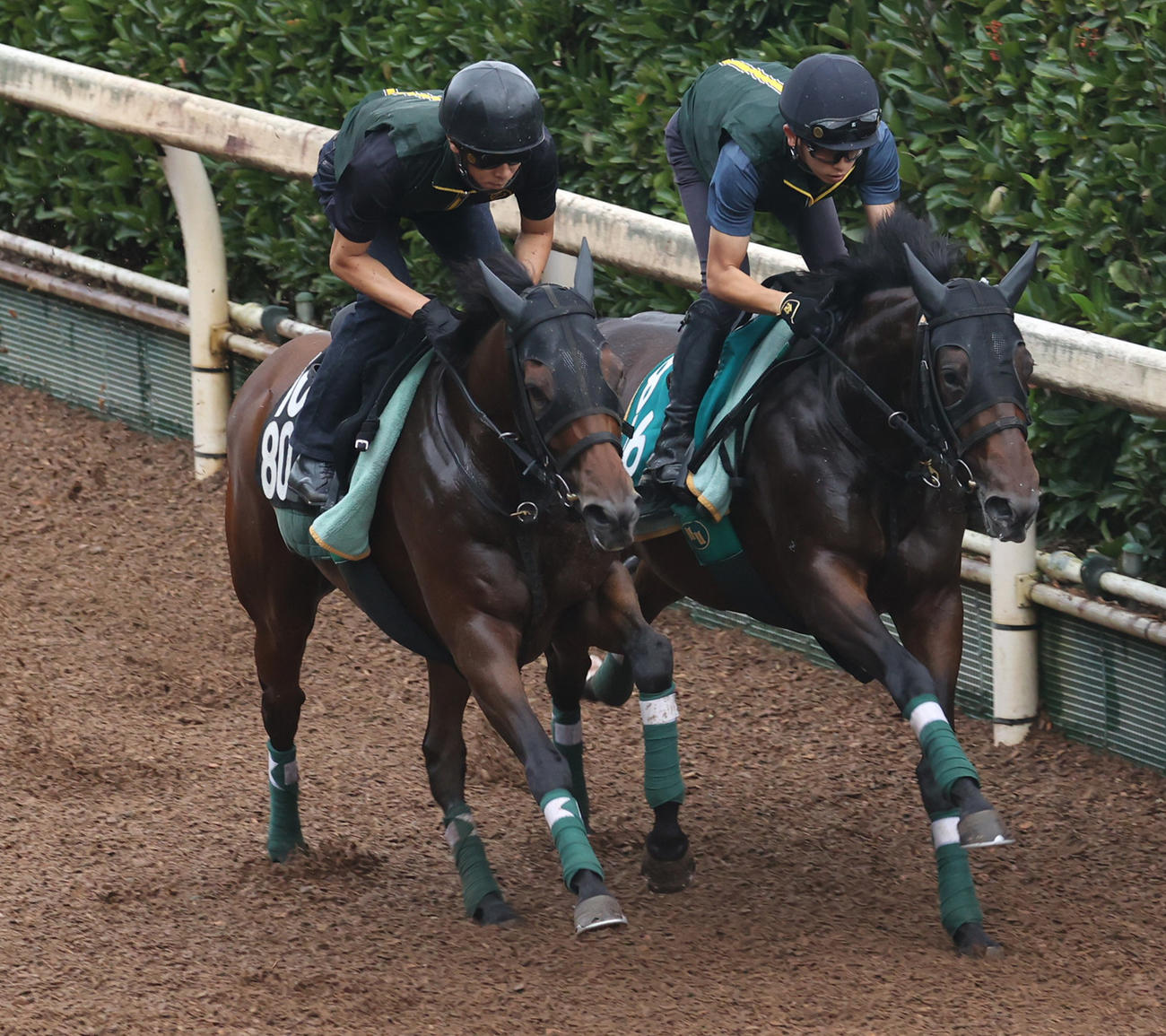 坂路にて併せ馬で追い切るミタマ（左）
