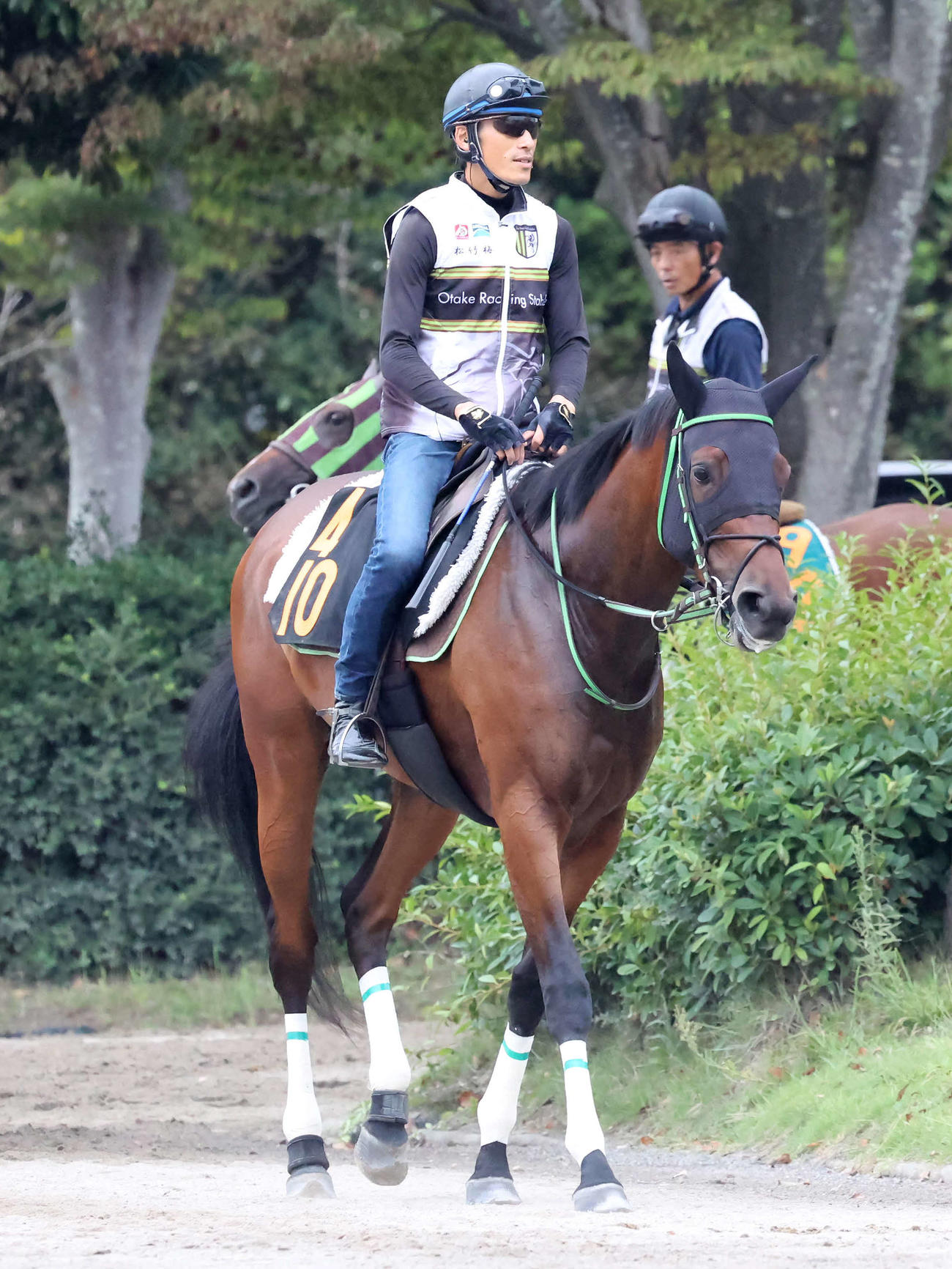 馬場へ向かうグランベルナデット（撮影・丹羽敏通）