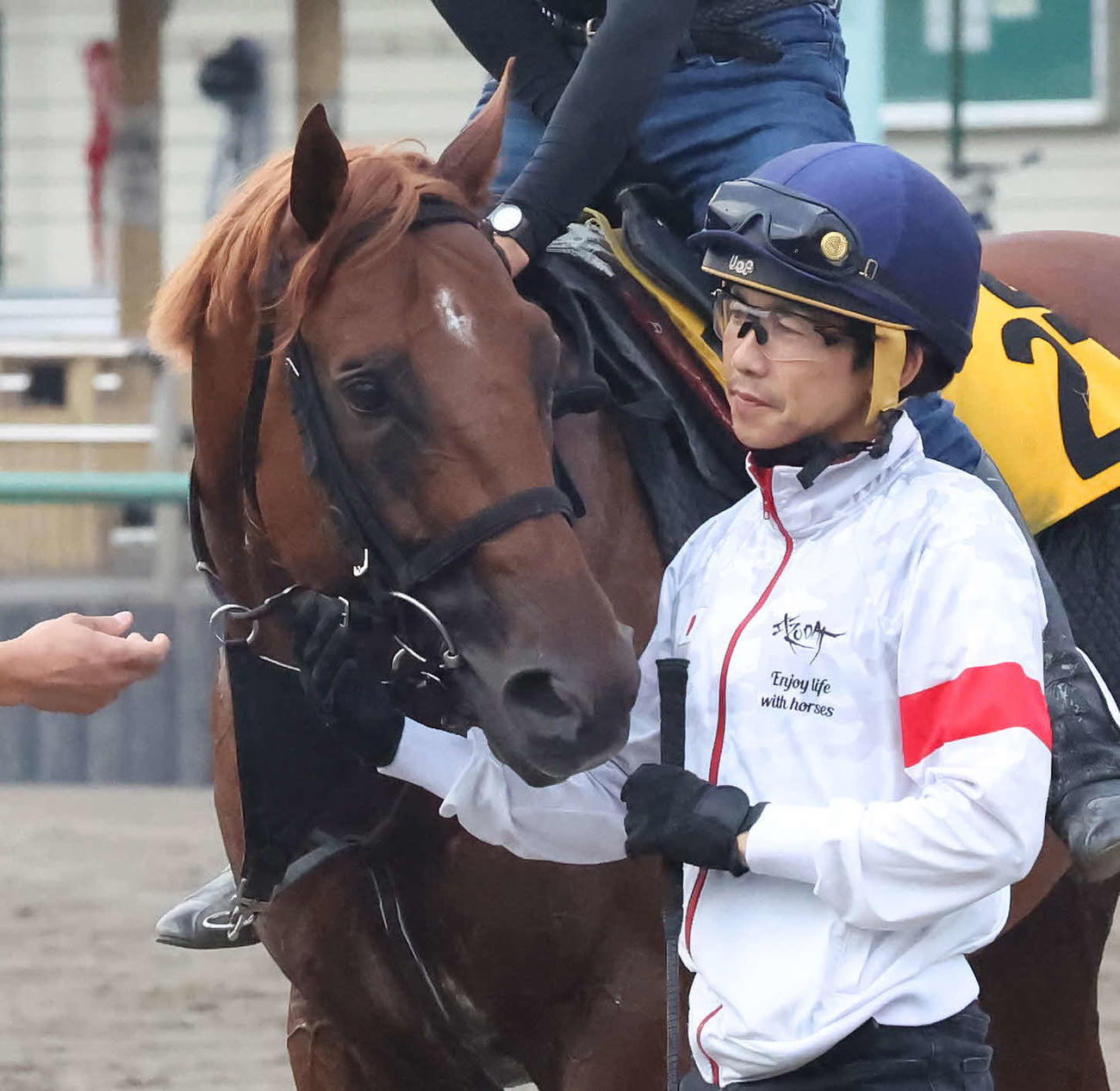 調教を終えたウイングレイテストをねぎらう松岡騎手（撮影・丹羽敏通）