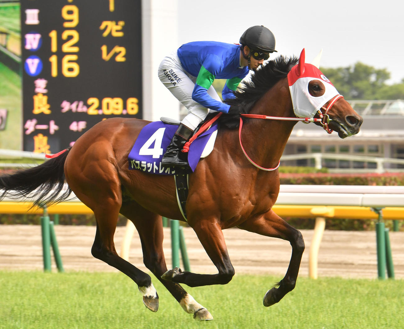 バスラットレオン（2021年撮影）