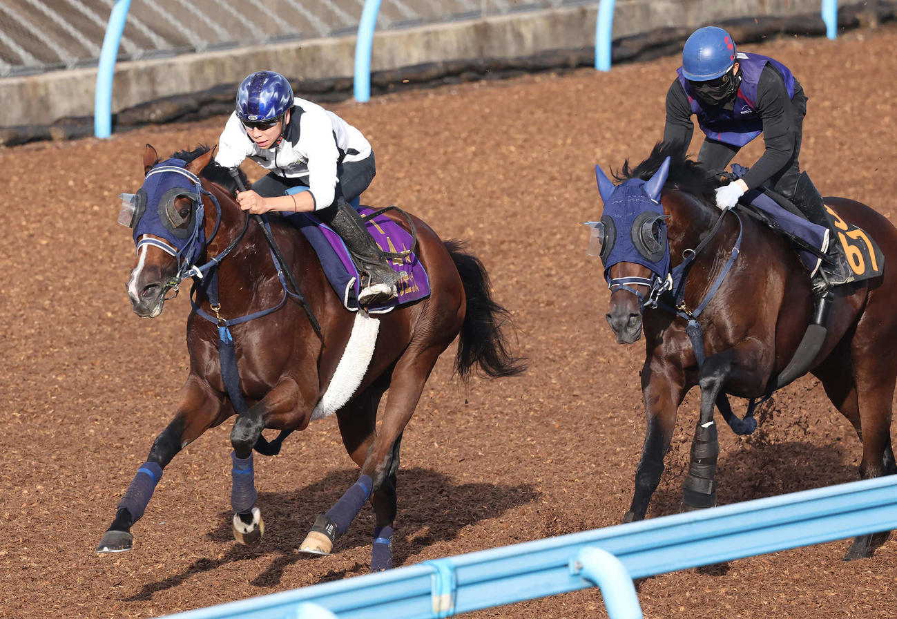 ソールオリエンス（左）は横山武騎手を背にキングズレインと併せて追い切られた（撮影・丹羽敏通）