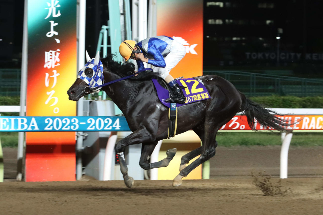 日刊スポーツ賞黒潮盃を制したヒーローコールと森泰斗騎手（2023年8月16日撮影）