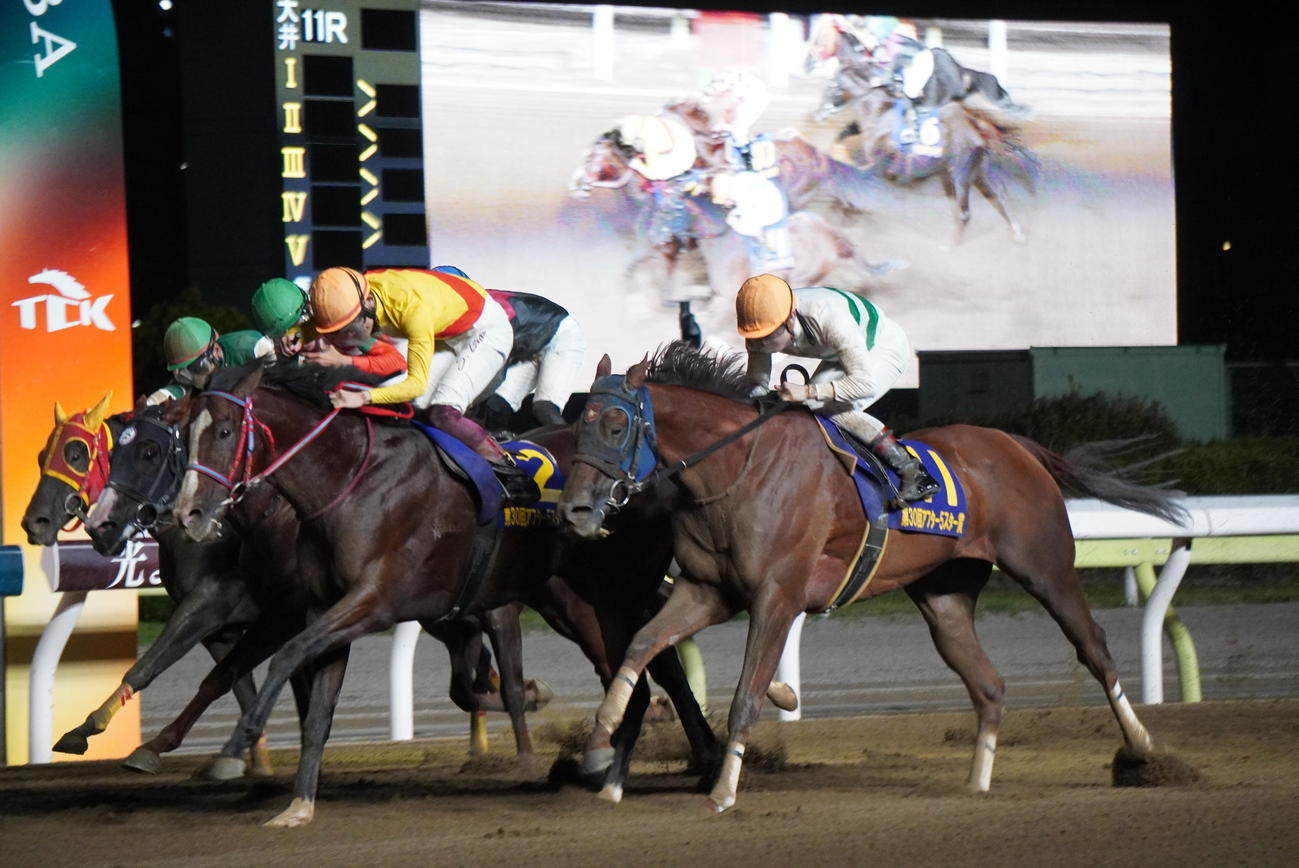 アフター5スター賞を制したギシギシ（右から2頭目）