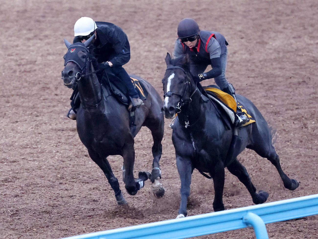 6日、フルール（左）は美浦ウッドをサザンステートと併せて追い切られた