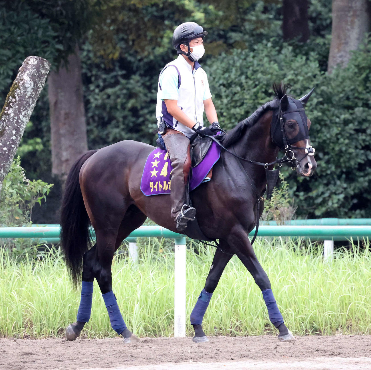 6日、馬場へ向かうタイトルホルダー