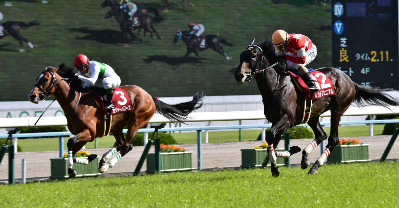 京都新聞杯を制したレッドジェニアル（右）（2019年5月4日撮影）