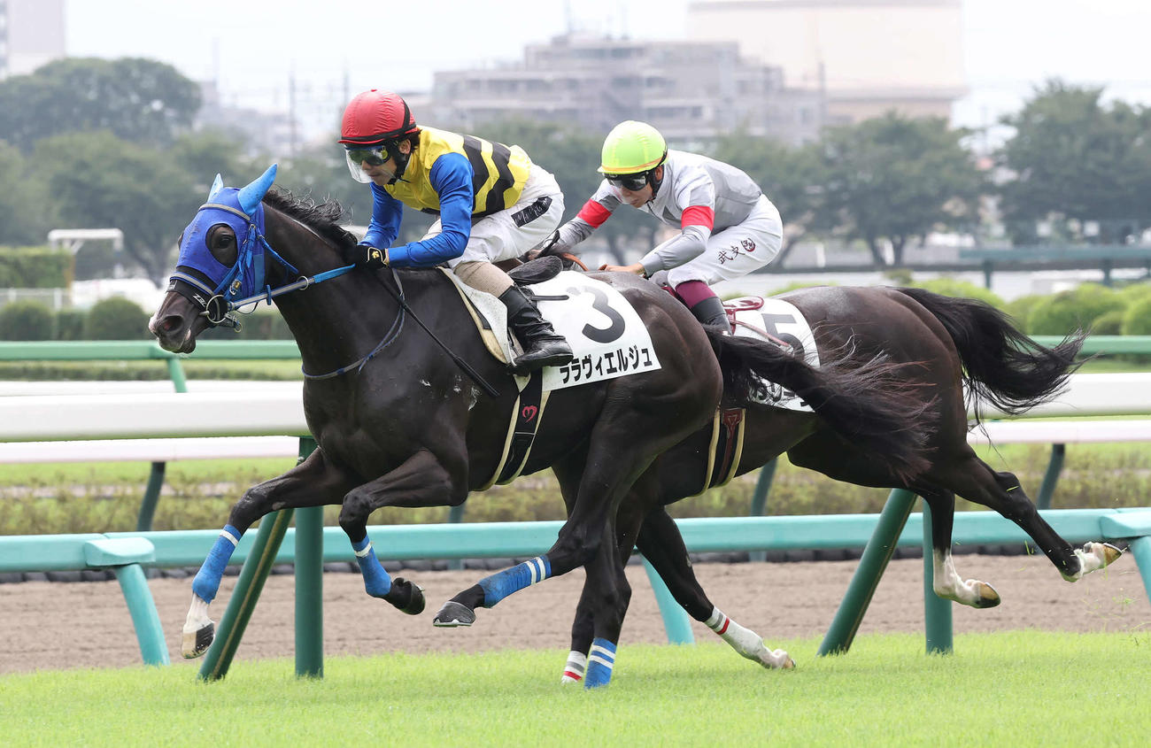 中山2R、2歳未勝利戦を制したララヴィエルジュと松岡騎手（撮影・丹羽敏通）