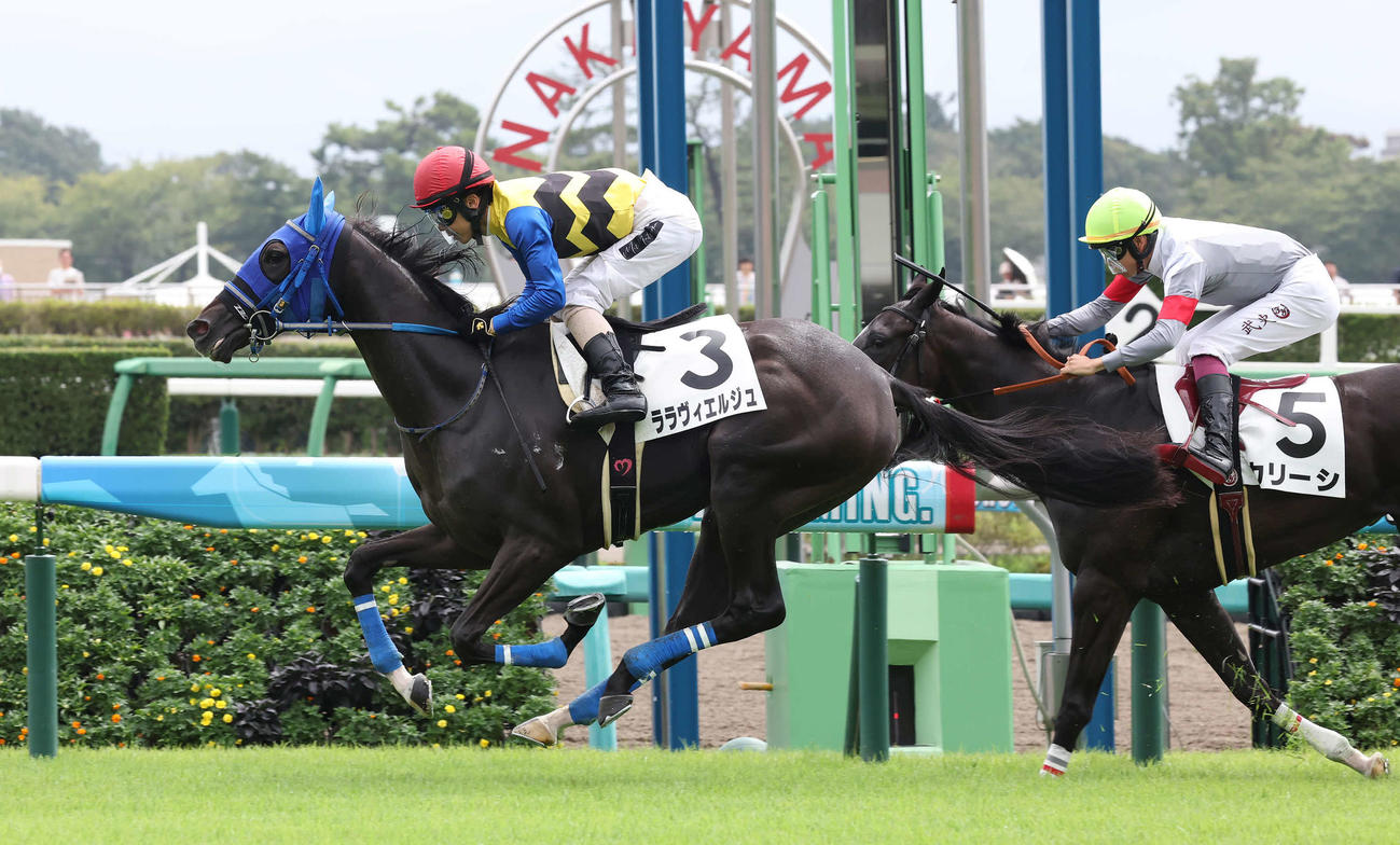 中山2R、2歳未勝利戦を制したララヴィエルジュと松岡騎手（撮影・丹羽敏通）
