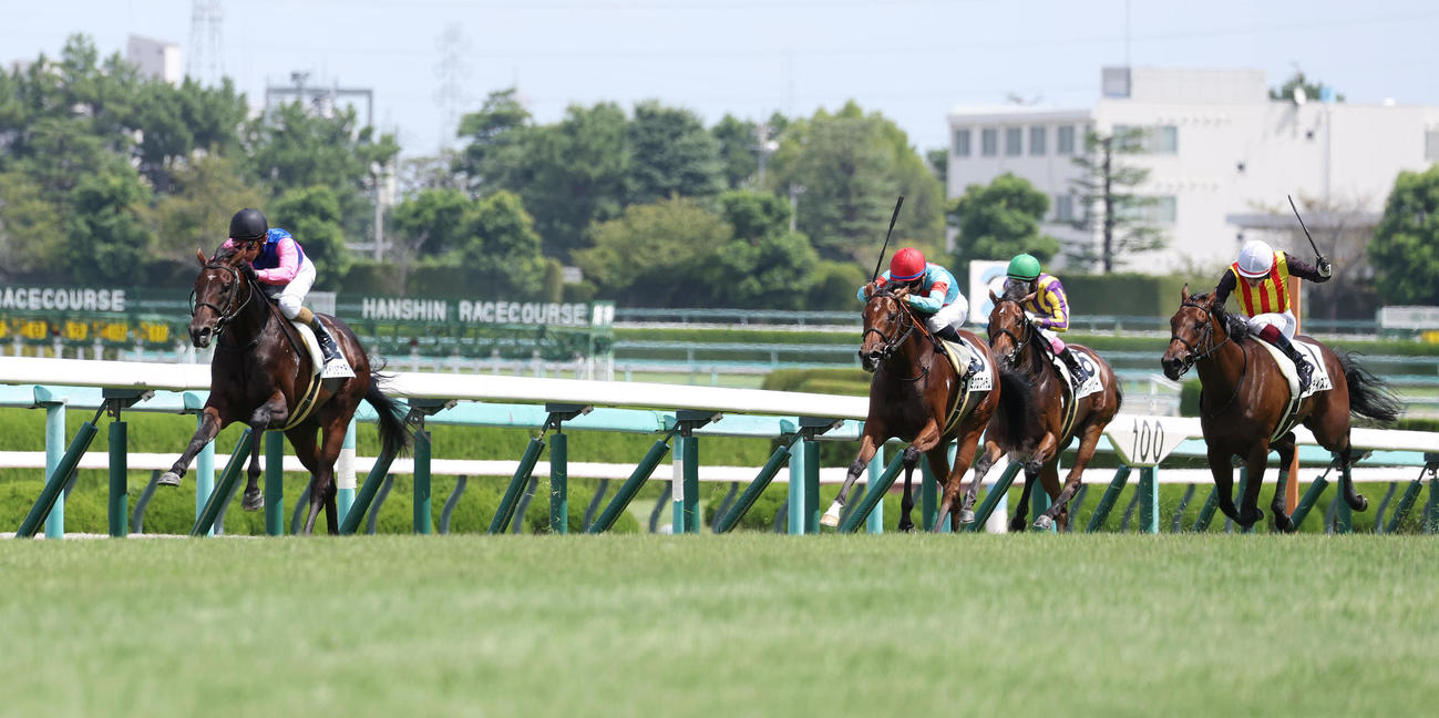 阪神5R、逃げ切って新馬戦を制したメイショウサチダケ（左）（撮影・白石智彦）