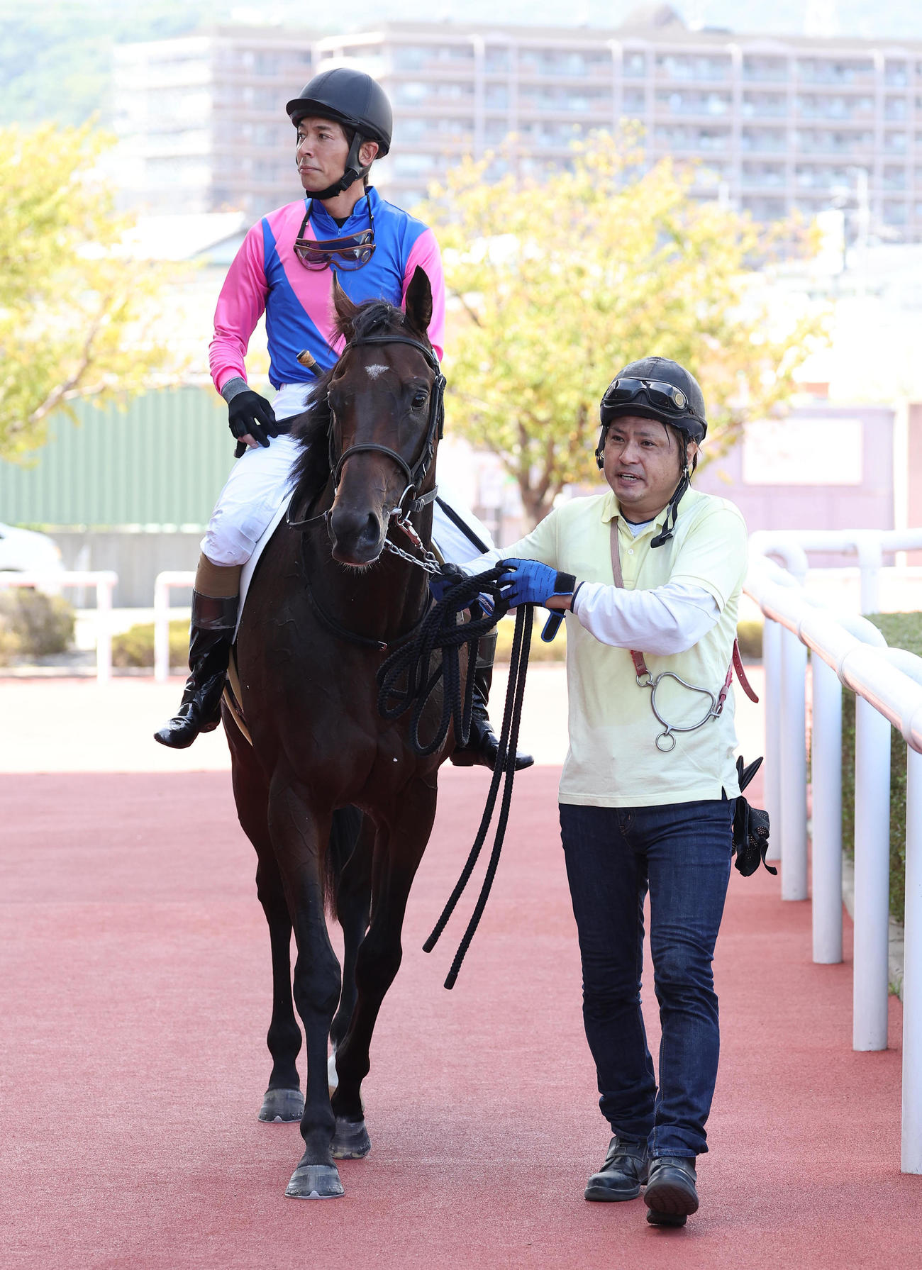阪神5R、新馬戦を制したメイショウサチダケ（撮影・白石智彦）