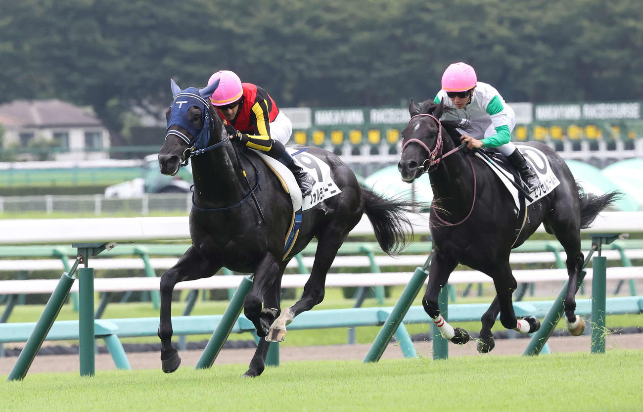 中山5R、2歳新馬戦を制したフォルラニーニ（左）とルメール騎手（撮影・丹羽敏通）