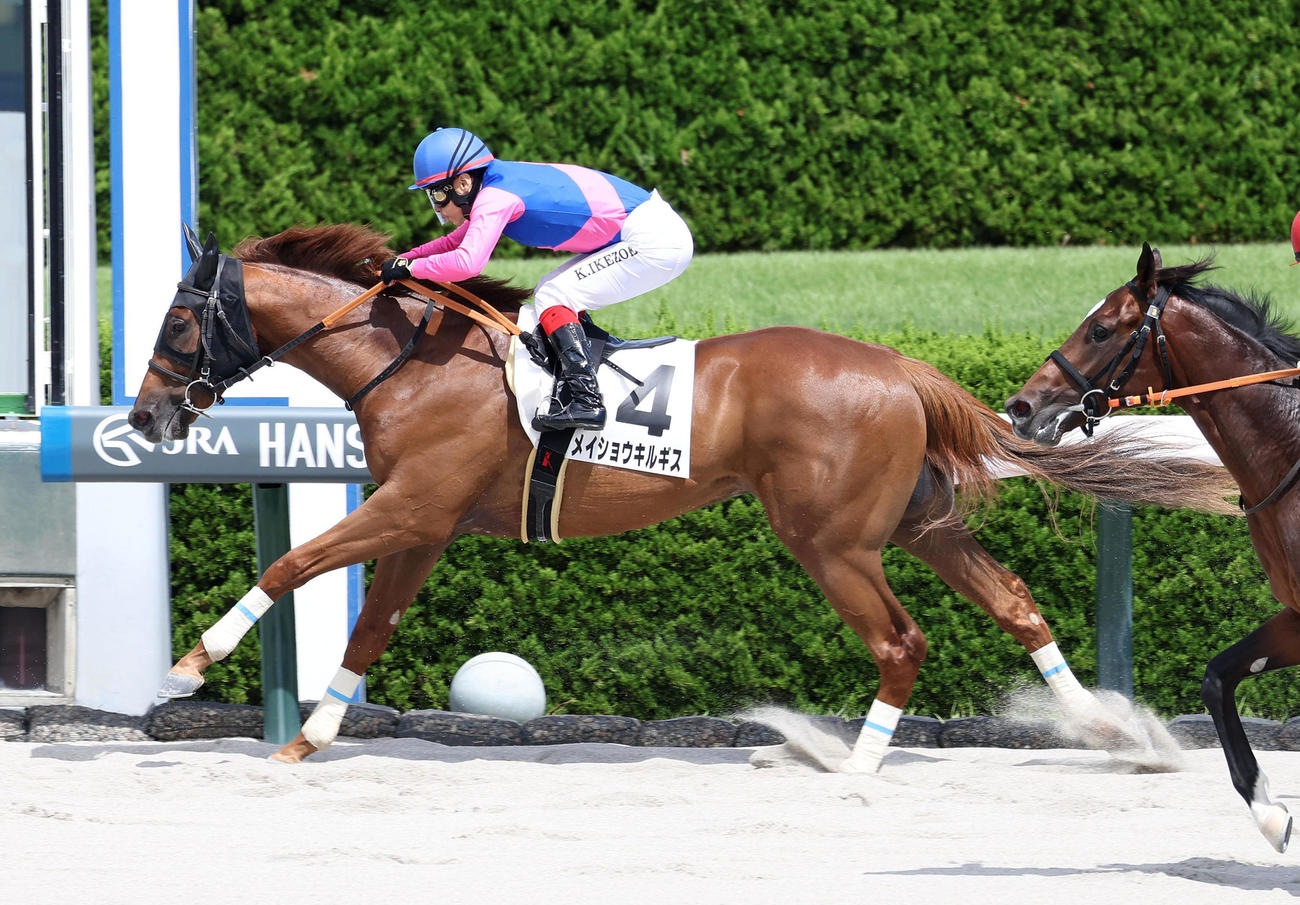 阪神4R、逃げ切って新馬戦を制したメイショウキルギス（撮影・白石智彦）